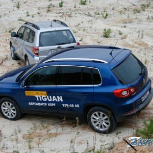 Tiguan vs Forester