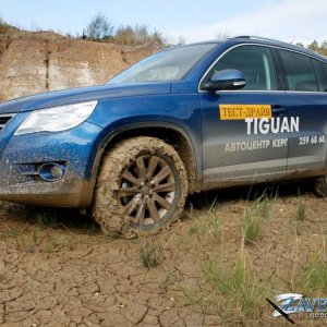 Tiguan vs Forester