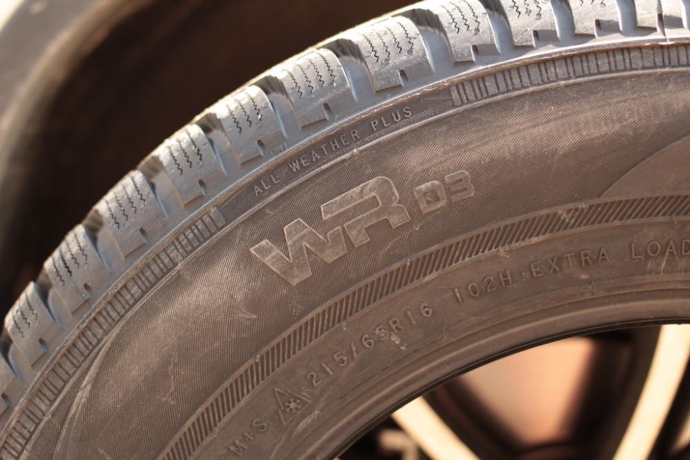 Nokian WR D3