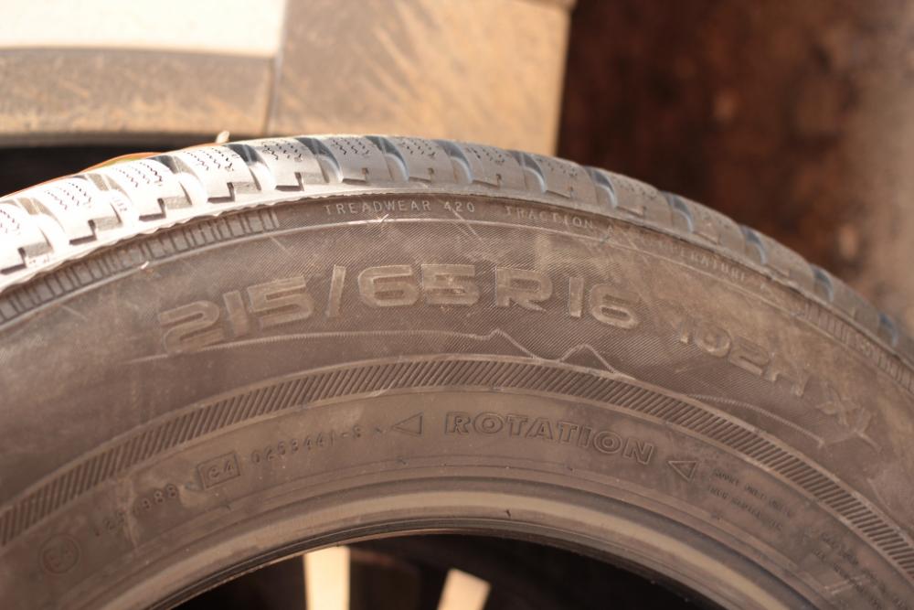 Nokian WR D3