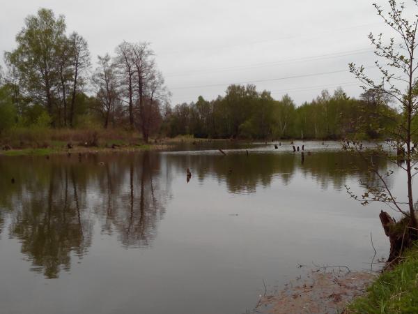 Озеро близ Новгородово.