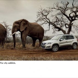 vw tiguan elephants original 15054