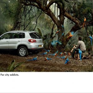 vw tiguan parrots original 74665