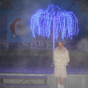 сургут 2011