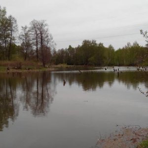 Озеро близ Новгородово.
